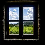 Farm stay Lavandeira Douro Nature & Wellness Baiao